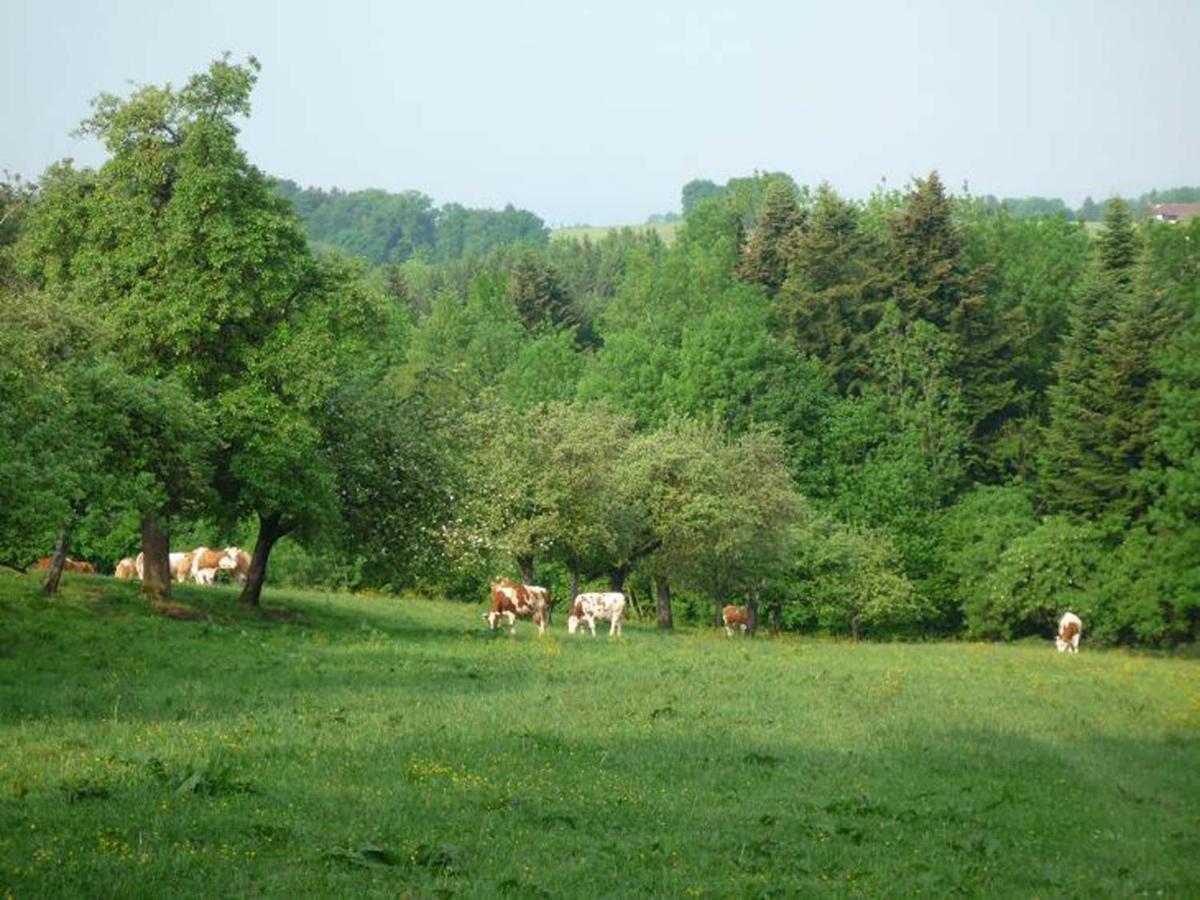 Apartmán Ringerhof Bad Endorf Exteriér fotografie